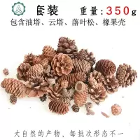 幼儿园环创干树枝松塔手工diy创意原料 封后 油松塔200g10-15个左右 干花包