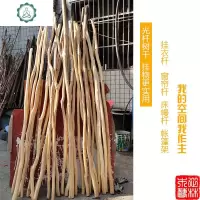 天然实木手装店干树枝挂衣杆床幔衣架挂毯干插花原木枯枝装饰 封后 光杆粗3-4cm长2m(1根) 干树枝