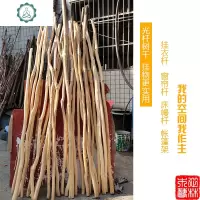天然实木手装店干树枝挂衣杆床幔衣架挂毯干插花原木枯枝装饰 封后 带叉粗2-4cm长2m(1根) 干树枝