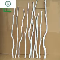 2019新款仿真白树枝干枯枝枯树枝过江龙骨室内花瓶摆件装饰干花枝 封后 35厘米长5只(刷白) 干树枝