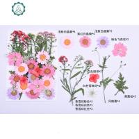 干花化妆面部贴花脸部贴花花瓣仙女干花花瓣面部贴花贴脸妆 封后 粉色系花材包(送睫毛胶) 干花包