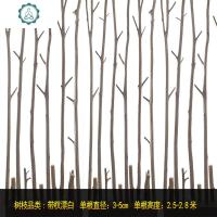 家居干树枝树装饰干枝客厅幼儿园室内枯树干隔断天然禅意森系北欧 封后 ①带杈漂白直径3-5cm高2-3米/根 干树枝