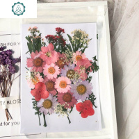 贴脸饰品花瓣仙女少女脸部装饰干花妆容贴森系拍照写真网红贴纸 封后 D款8款花材,共36朵送胶水 干花包