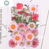 化妆面部贴花 干花瓣脸网红林小宅仙女压眼植物标本制作天然手工 封后 渴望蓝天 干花包