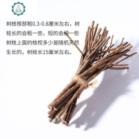 树枝装饰干树枝木段小道具木棍幼儿园手工DIY小树枝背景枯枝材料 封后 一捆10根(长10厘米) 干花包