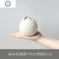 蒜头插绿萝绿植简约陶瓷小花瓶小清新创意客厅创意摆件家居装饰品 封后 蒜头白干花/花瓣/干花包/干树枝