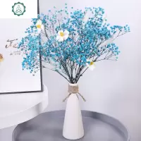 云南满天星干花 花束真花家居小清新装饰摆件满天星鲜花自然风干 封后 紫色星空满天星(不含瓶)