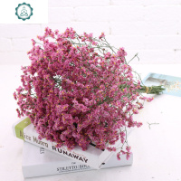 云南干花真花花束勿忘我满天星干花装饰家居客厅摆设风干花束真花 封后 秒粉水晶
