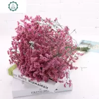 云南干花真花花束勿忘我满天星干花装饰家居客厅摆设风干花束真花 封后 秒紫色勿忘我
