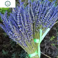 天然薰衣干花花束客厅家居装饰真花插花瓶女友生日礼盒 封后 高产蓝花束200g(320支左右)