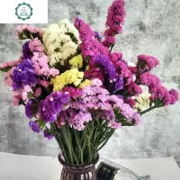 云南勿忘我干花花束水晶情人 满天星家居摆设大束鲜花水养 封后 紫色+水晶草[3份一起拍]发三束 干树枝