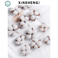 天然真棉花头干花圣诞树挂件大号自带铁丝杆花束材料花盒配件装饰 封后 木槿紫带花杆10只/把整体长约40cm