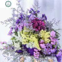 云南大束满天星勿忘我鲜花干花真花花束天然干插花论斤卖永生花 封后 红+情人草[2斤装买2束送配草]