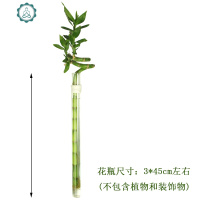 创意壁挂竹水培玻璃花瓶 工艺小花插挂件家居墙面装饰新款 封后 竹报平安(单只白绳花瓶+钉)