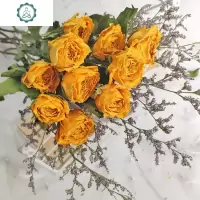 玫瑰干花天然干花真花网红家居摆件ins北欧风diy花材家居客厅装饰 封后 香格里拉10枝(送情人草) 干树枝