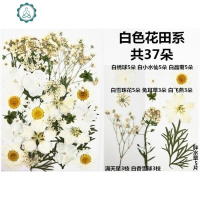 婚纱儿童干花贴脸花瓣妆妆容脸部饰绿叶花朵贴画lolita干花妆妆面 封后 组合包3 干花包