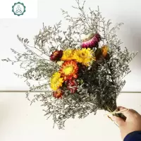 干花小雏菊 七彩雏菊麦杆菊 小菊花家居装饰餐桌插花配花 干花束 封后 小雏菊30花头+粉色手提盒 干花包