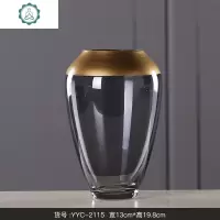轻奢玻璃花瓶现代简约水培透明插花瓶摆件客厅餐桌干花瓶摆设创意 封后 YYC-2114