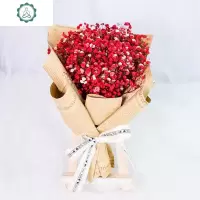 满天星干花永生花小花束小清新干花网红花束生日情人节七夕 封后 红色满天星网红花束