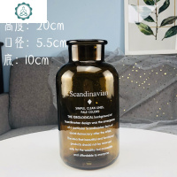 小棕花瓶茶色插干花ins北欧国度复古透明北欧风拍摄道具 封后 金色字一大一小