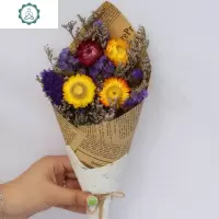 云南干花真花雏菊勿忘我网红小清新花束房间装饰毕业照外景模特摆 封后 雏菊勿忘我中束 干树枝