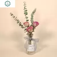 尤加利玫瑰干花花束网红ins装饰摆件棉花松果diy插花花材家居摆件 封后 尤加利小白果+250细口 干树枝