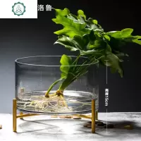 水培植物玻璃花瓶圆形玻璃鱼缸富贵竹绿萝简约水培花盆创意鱼缸 封后 圆筒20*10(带铁架无植物) 中等