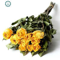 玫瑰干花花束花干花包家居插摆设摆件花束干花干花花瓣干树枝 封后 香槟10枝 干树枝