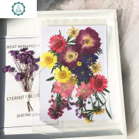 田园脸部花贴纸摄影组合贴片妆容眼影贴纸化妆造型花瓣干花公主 封后 花仙子红色款7款花材,共20朵 干花包