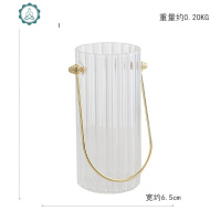 ins北欧透明手提玻璃花瓶摆件创意干花插花器客厅装饰品餐桌摆设 封后 大号雏野菊套件