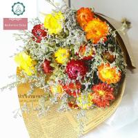 雏菊非洲菊干花花束真花干花装饰摆设永生花满天星情人七彩菊 封后 非洲菊30朵 干树枝