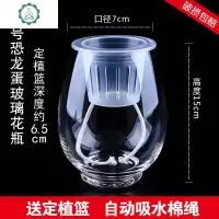 水养植物玻璃瓶 器皿 水培白掌花瓶恐龙蛋花瓶简约水养植物花盆 封后 [恐龙蛋超大]送棉绳定植篮 中等