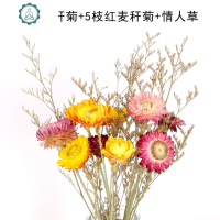 小雏菊麦秆菊干花花束云南菠萝菊真花风干ins网红装饰diy文艺插花 封后 10枝黄麦秆菊+情人草全黄 干花包