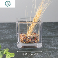 木子晶正方形水培玻璃器皿透明方缸绿萝水养植物鱼缸摆件花盆花瓶 封后 12×12正方形缸