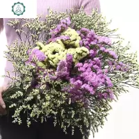 云南勿忘我干花花束混搭家庭饰品家居摆设办公装饰鲜花拍摄道具 封后 勿紫+黄水晶(不含瓶)