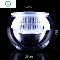 水培植物玻璃花瓶水培花瓶 绿萝水培花瓶水培玻璃盆加厚加大 封后 20D圆球配棉绳定植篮 中等