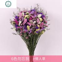 云南天然勿忘我干花真花花束家庭家居客厅装饰摆设真花插花论斤卖 封后 6色勿忘我+情人草(1斤)