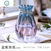 玻璃花瓶透明水培绿萝欧式客厅摆件田园小清新干花瓶插花园艺 封后 18cm钻石-蓝色