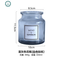 ins北欧风mini玻璃花瓶小号插花瓶宽口瓶水培花器台面摆件 封后 蓝灰色花瓶黑金贴纸