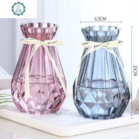 2个花瓶玻璃透明北欧水养百合富贵竹干花鲜花插花瓶客厅装饰摆件 封后 (小钻石2个)烟灰色 大