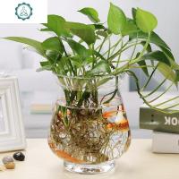 玻璃花瓶水培绿萝简约创意水培植物花盆透明容器水养绿萝插花容器 封后 20冬瓜花瓶 中等