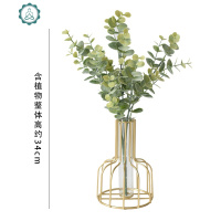 北欧风ins铁艺干花透明玻璃绿萝创意水培试管小花瓶客厅插花摆件 封后 金色(搭配白绿野山枣)