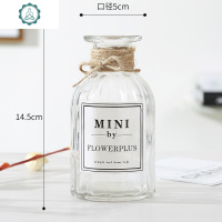 透明简约水培玻璃花瓶客厅桌面摆件创意干花鲜花插花瓶容器花盆 封后 欧式南瓜透明送彩带 中等