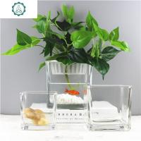 小清新正方形水培器皿植物花盆玻璃花瓶透明方缸绿萝睡莲鱼缸 封后 12厘米方缸