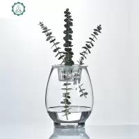 欧式创意恐龙蛋花瓶 透明玻璃花瓶 简约水培绿萝花卉植物玻璃器皿 封后 18cm(恐龙蛋)