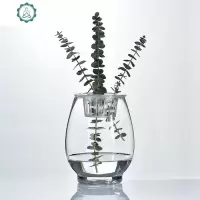 欧式创意恐龙蛋花瓶 透明玻璃花瓶 简约水培绿萝花卉植物玻璃器皿 封后 24cm(恐龙蛋)