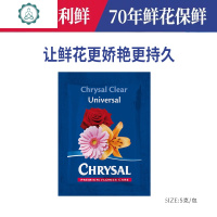 苁丛 法式复古简约竖条纹 金属做旧手提 玻璃花瓶圆柱形花器 封后 手提升级版_大号 中等