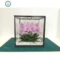 简约正方体玻璃盒子首饰盒饰品工具收纳盒大容量妆品盒定制展示盒 封后 黑色18*18*18cm有拉盖铜链饰品盒