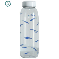 韩版创意潮流大容量玻璃杯韩国清新可爱随手杯女学生情侣简约水杯 封后 一群海鸥送杯套-大号大容量800ml