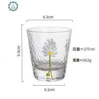 网红杯子 家用水杯简约锤纹玻璃杯ins风清新小雏菊玻璃杯森系耐热 封后 02小雏菊